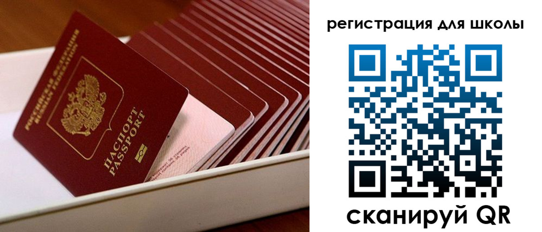 прописка гарантия в Вичуге